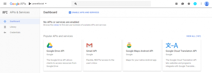 enable google api