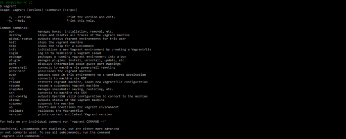 test vagrant installed